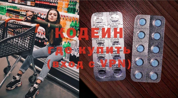 индика Алзамай