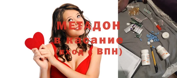индика Алзамай