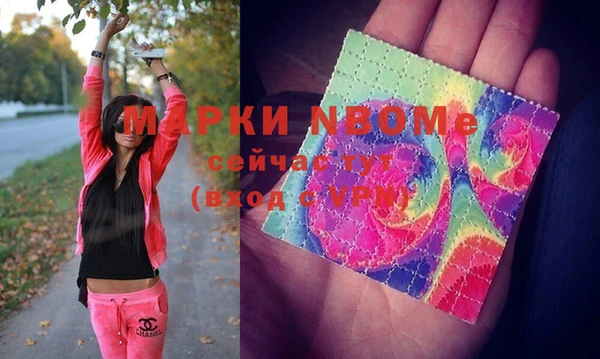 индика Алзамай