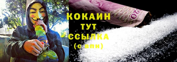 индика Алзамай