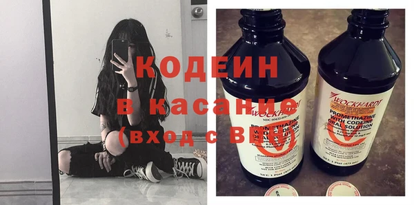 индика Алзамай