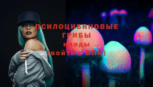 индика Алзамай