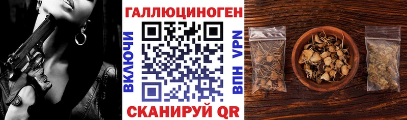 Псилоцибиновые грибы Psilocybe Славск