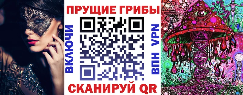 сколько стоит Славск Псилоцибиновые грибы Magic Shrooms